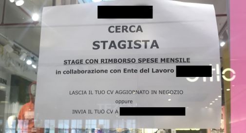 cercasi stagista