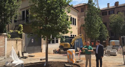 Il giardino di piazza Rinaldi prende forma, piantate tre querce