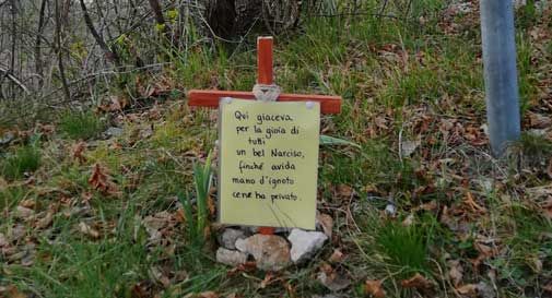 Pianta dei fiori con la nipotina per abbellire la strada: 