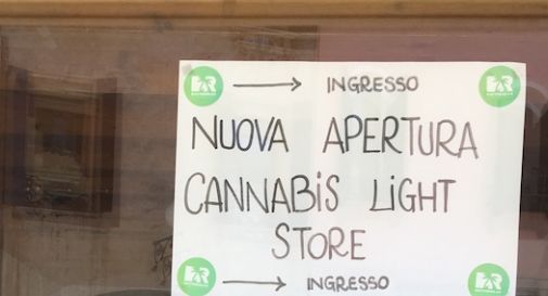 Apre un cannabis store in centro a Treviso, è vicino all'università