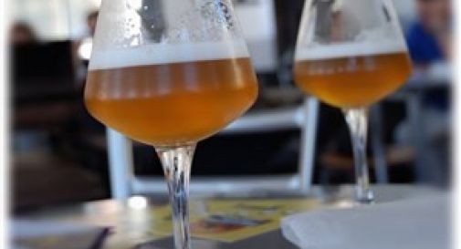 Birra artigianale, è boom anche nella Marca