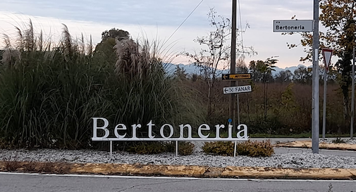 Bertoneria