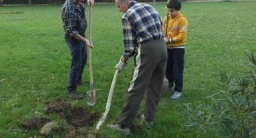 «We Love Trees»: nuovo verde a Mogliano 