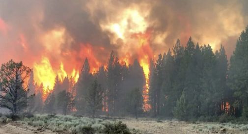 Wildfire nel sud dell'Oregon luglio 2021 