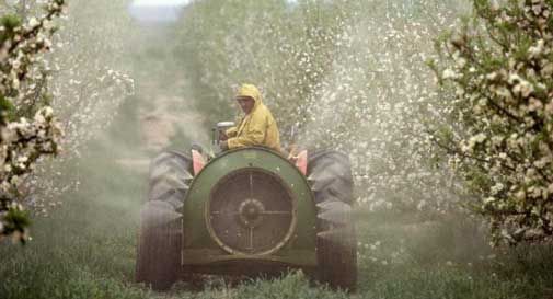 Giovedì la fiaccolata contro i pesticidi a Conegliano