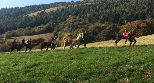 passeggiate slow lama naturalmenteguide valdobbiadene 