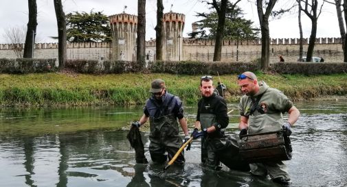 la pulizia del Musestre ieri (foto Colombatti)