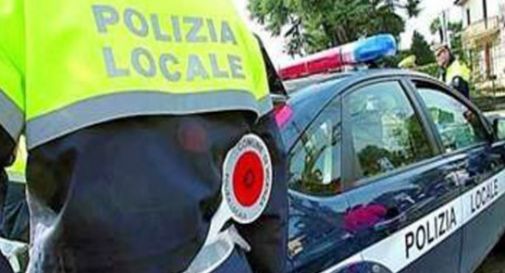 Conegliano, superlavoro per la polizia locale: 