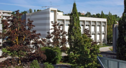 liceo marconi conegliano