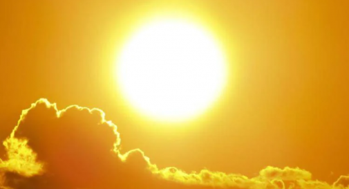 sole