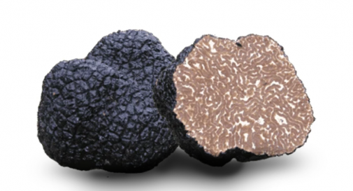 Tartufo nero