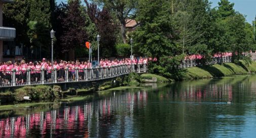 Treviso in Rosa