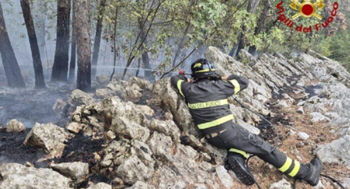 Rogo nel sottobosco sul Carso: intervento congiunto di terra e aria per domare le fiamme 