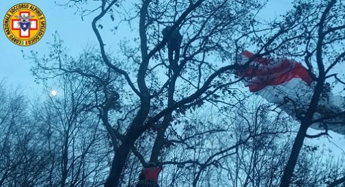 Borso, precipita con un parapendio e rimane sospeso su un albero a dieci metri da terra