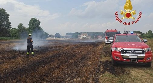 Zero Branco, l'incendio alla rotoballa si estende nel campo agricolo