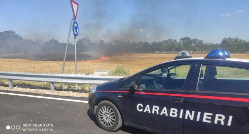 Spresiano, terreno agricolo a fuoco