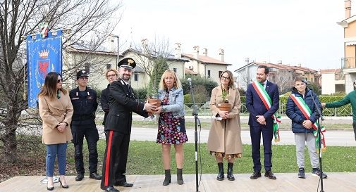 Da Vittorio Veneto a Jesolo ecco l'albero 'della legalità'