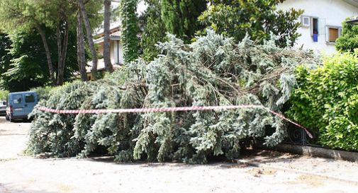  Vento forte: alberi in strada, camini incendiati e linee elettriche danneggiate