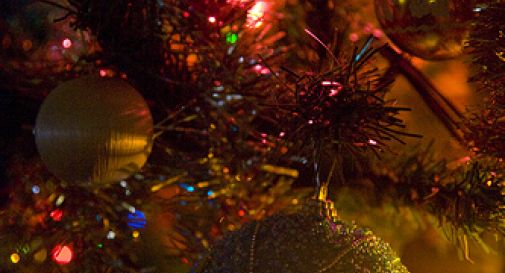 Asolo, rubati gli alberi di Natale