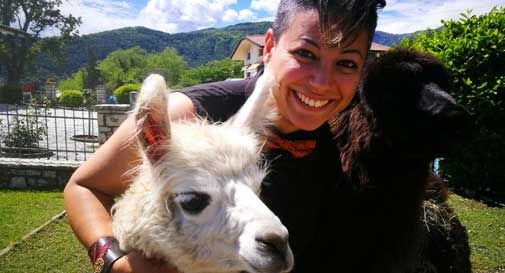 Lascia il lavoro per vivere con gli alpaca in montagna