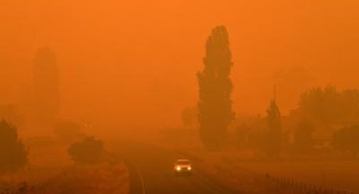 Incendi senza fine, morte 24 persone e 500 milioni di animali tra le fiamme