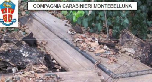 Bara ritrovata fuori dal cimitero, denunciati due becchini