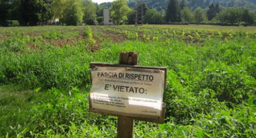 Raid contro il Prosecco: migliaia di viti distrutte