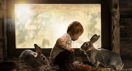 un bambino e due conigli, in pace e sereni