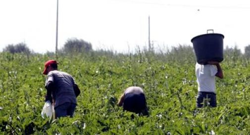 Sparava verso i braccianti per farli lavorare di più, arrestato