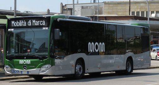 bus