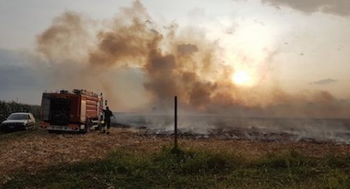 Fanzolo, campo va a fuoco 