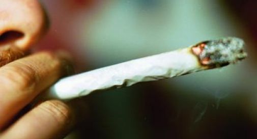 Stop legalizzazione cannabis, alla Camera passa solo uso terapeutico