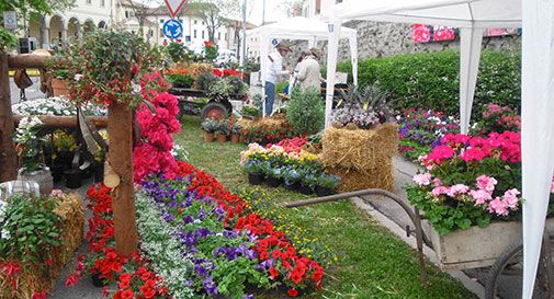 Ladri alla “Festa di primavera” di Cappella Maggiore