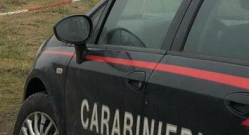 Neonato trovato morto tra i cespugli con il cordone ombelicale ancora attaccato