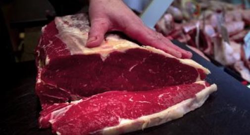 Contrordine: la carne rossa fa bene, lo dicono gli esperti