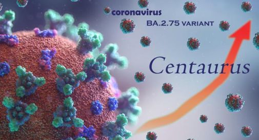 Centaurus in Italia, nuova variante Covid: sintomi e contagiosità