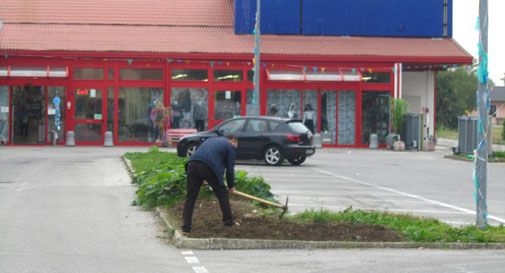 Vittorio Veneto, piantano ortaggi davanti al piazzale del negozio. Aiuole trasformate in orti