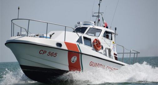 Cade dal sentiero e finisce in mare: labrador salvato