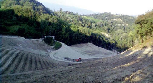 Via il bosco. Arriva il vigneto