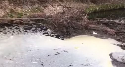 Schiuma sul torrente Curogna