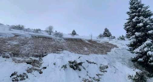 Valanghe sul Col Visentin, ecco le immagini