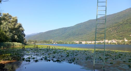 L'Incredibile mistero della scala che emerge dal lago di Tarzo