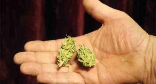 0,4 grammi di marijuana: via la patente