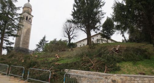 Partita la strage degli alberi