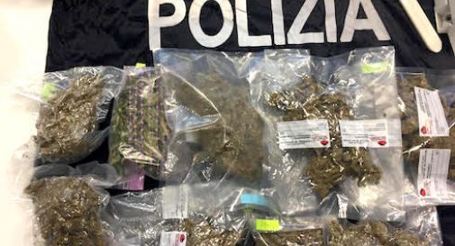 Marijuana a chili in casa, arrestata una 40enne a Conegliano