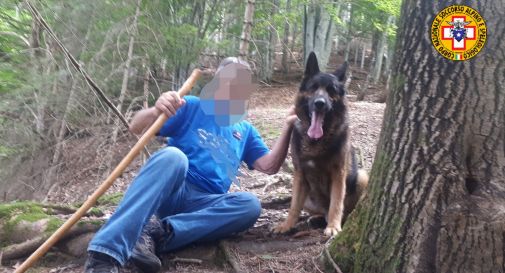 Ottantenne si perde nel bosco: trovato dal cane dei soccorritori