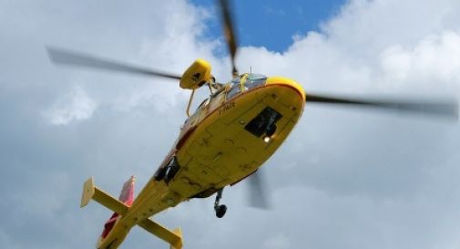 Precipita da un albero, anziano in gravi condizioni