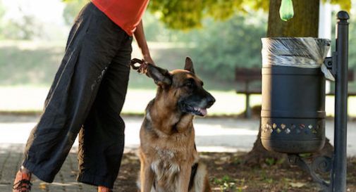 escrementi di cani: a Musestre scatta la protesta