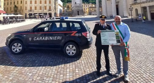 faggio di Valdobbiadene negli alberi monumentali d'Italia