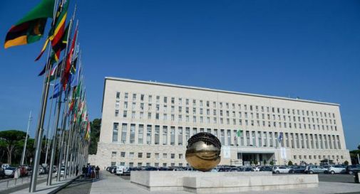 Sudan, Farnesina: scarcerato Marco Zennaro